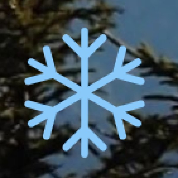 Sustainable Tourism Initiatives