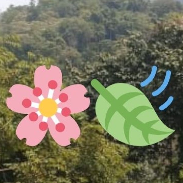 UNIQUE CULTURAL EXPERIENCES