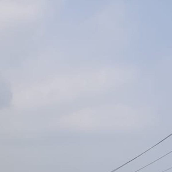 Paniya
