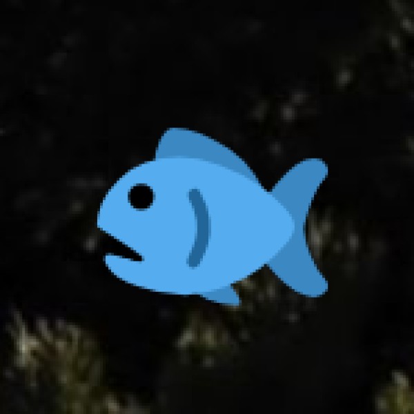 • Fishing with Local Fishermen: