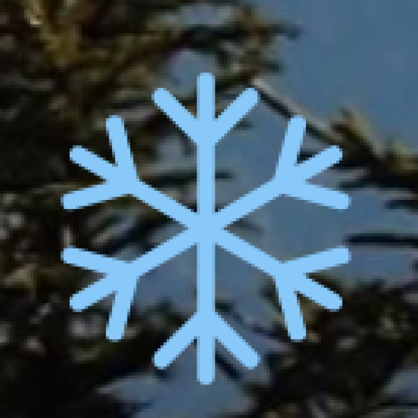 Dhemaji & Lakhimpur – The Indigenous Home of the Mishings & Deoris