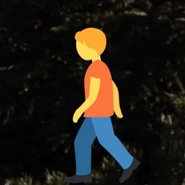 Unique Tribal & Cultural Experiences for Tourists