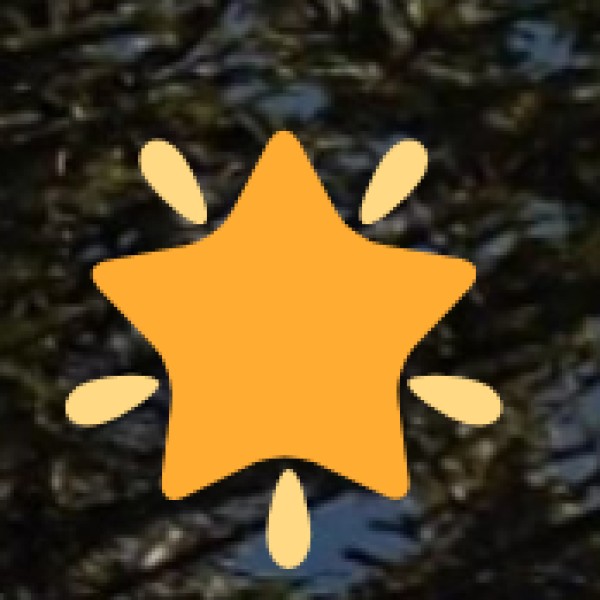 o Old Quarter Walks: