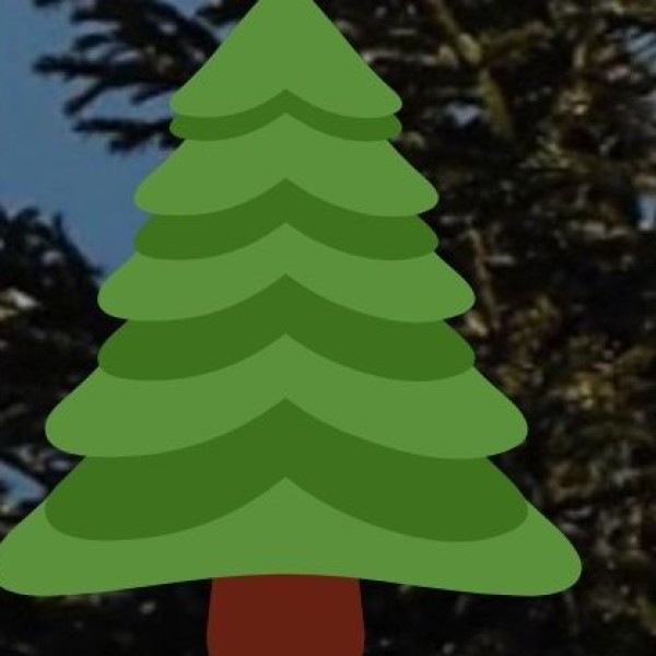 Bamboo & Cane Work (Sahariya Tribe)