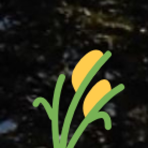 Agricultural Experiences