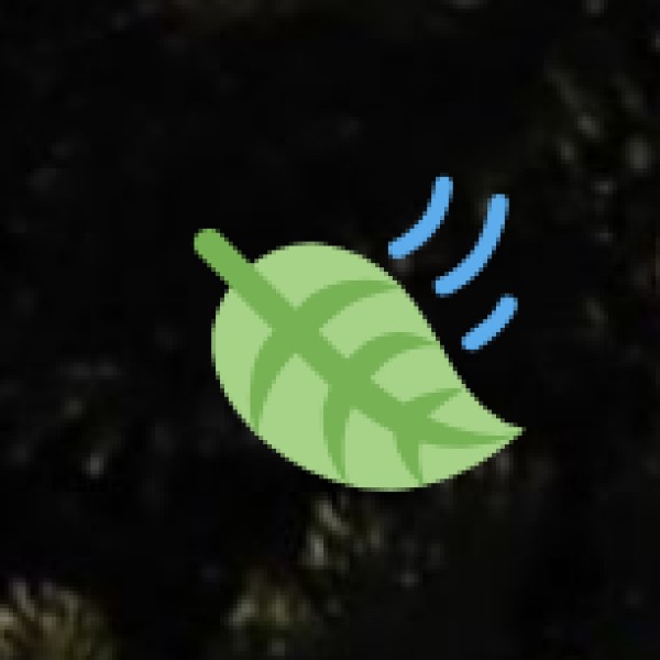 Ayurveda and Healing Retreats