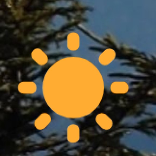 Other Unique Cultural Experiences in Goa