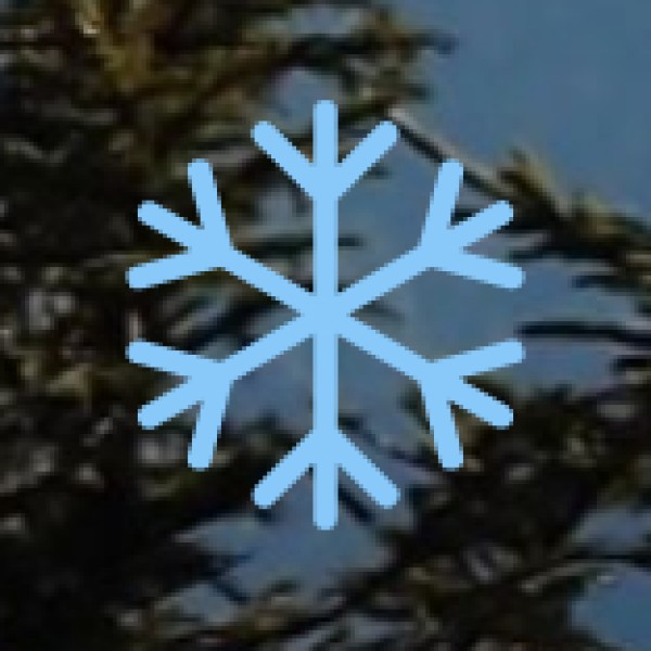 Tribal Culture & Handicrafts of Chhattisgarh