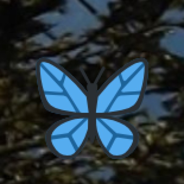 Best Time to Experience Tribal Tourism in Assam