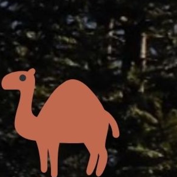 Traditional Livelihood & Practices