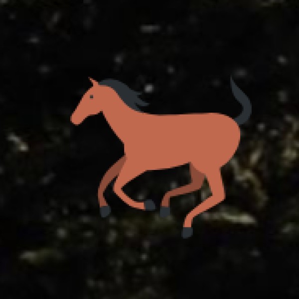 Tribal Festivals & Ceremonies