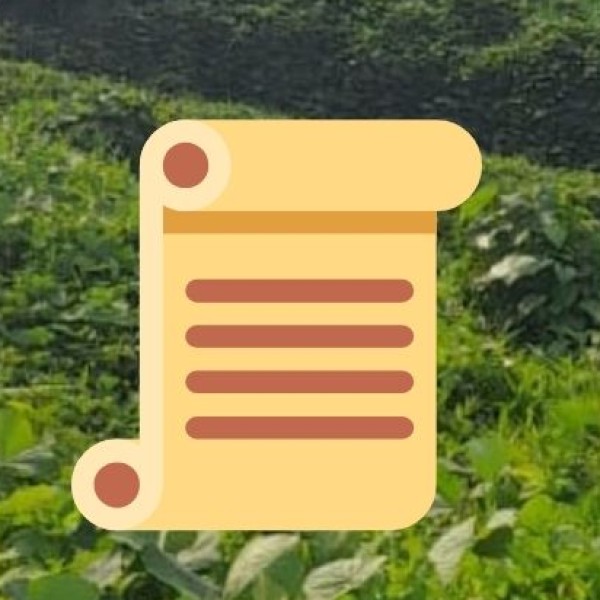 Unique Experiences for Tourists