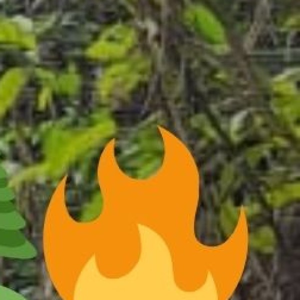 Institutional Support & Protection