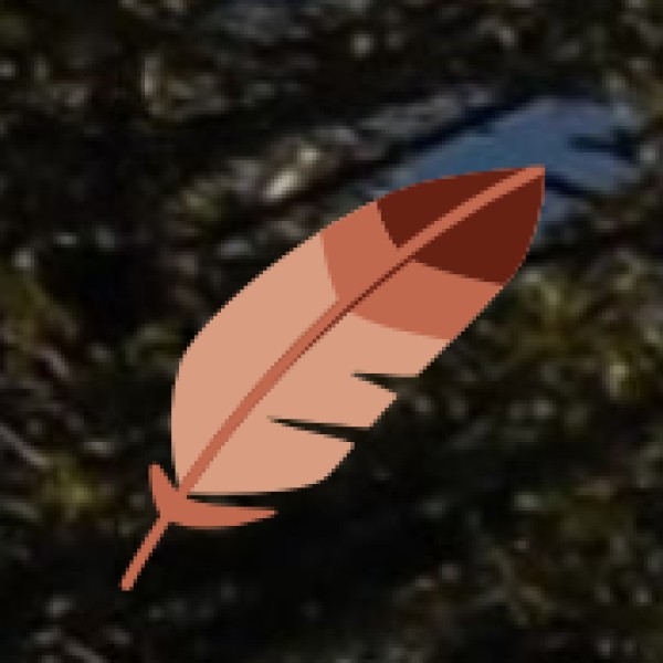 Forest Trekking with Tribals