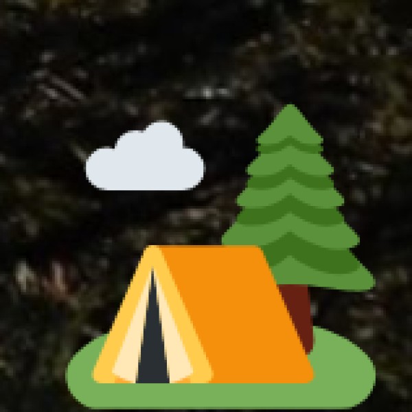 Government & NGO Support