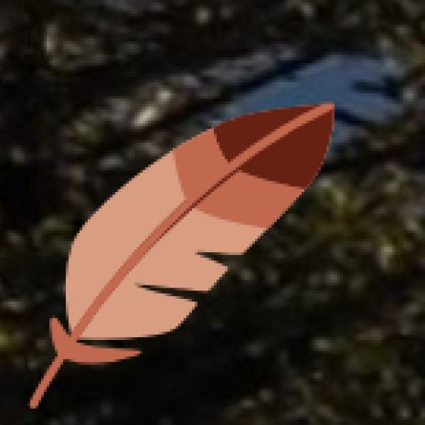 Chhota Udepur & Pavagarh Region