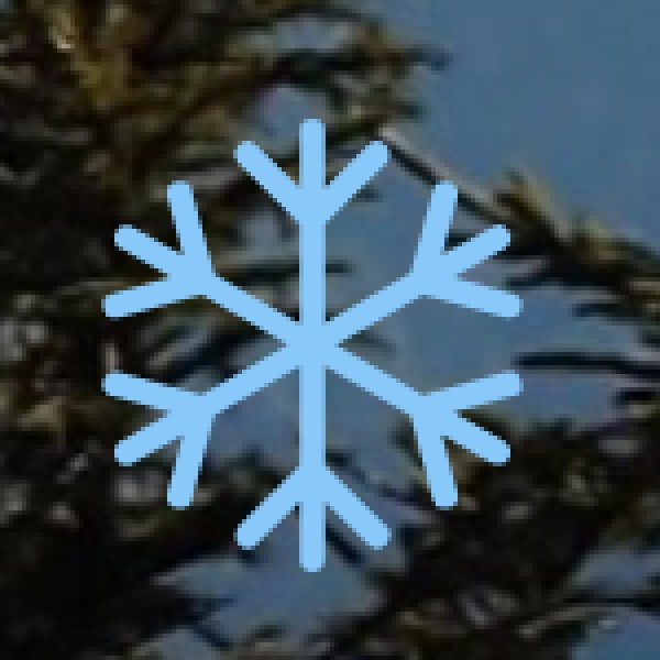 Handicraft & Heritage Workshops