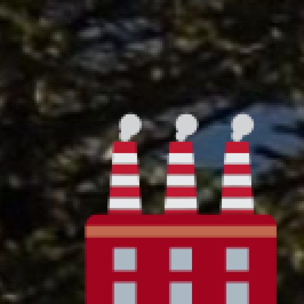 Traditional Bhopa-Bhopi Performances