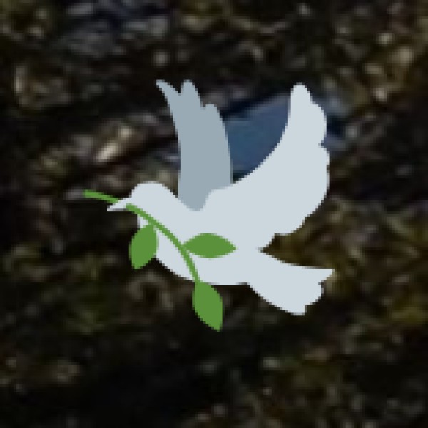 Tribal Communities in Daman & Diu: