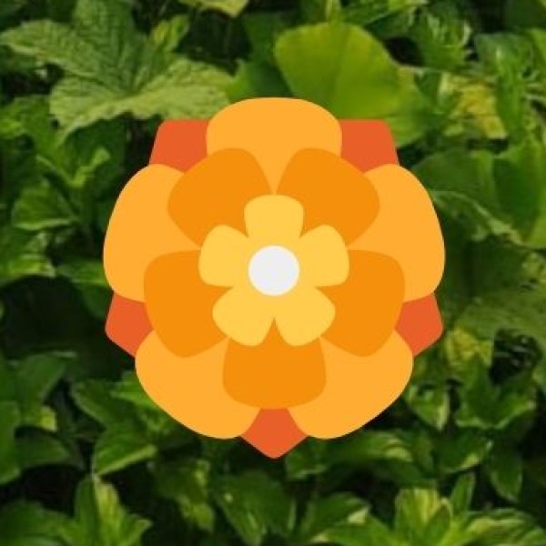 Opportunities for Cultural Preservation & Sustainable Tourism