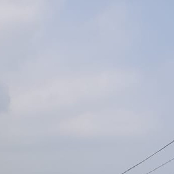 Sammakka Saralamma Jatara (on AP–Telangana border)