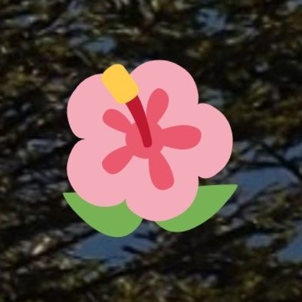 Tribal Wellness & Traditional Knowledge