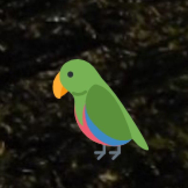 Birdwatching Hotspots