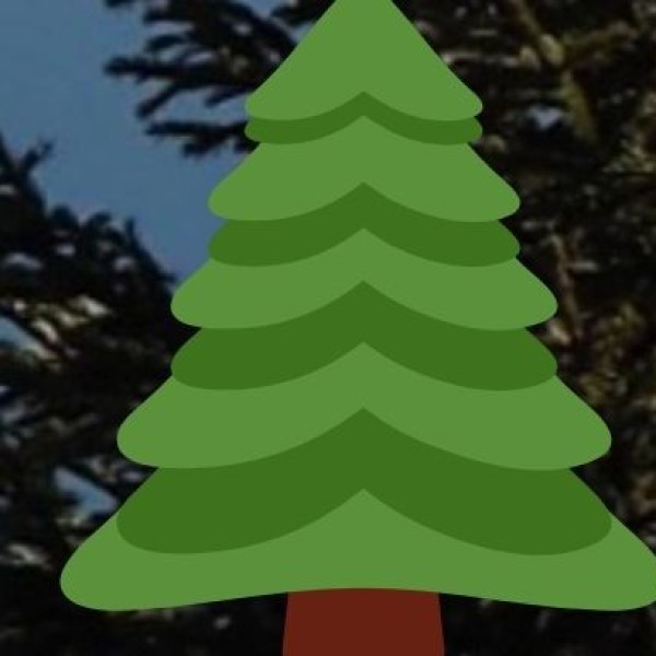 • Hokka Trees: