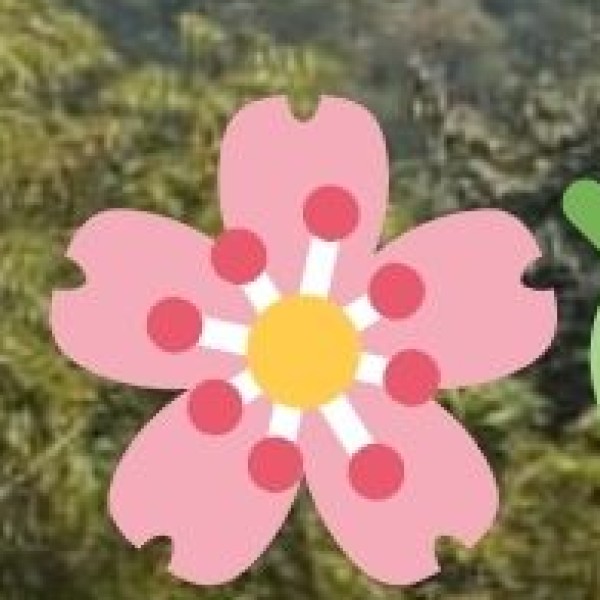 • Mangrove Conservation Awareness: