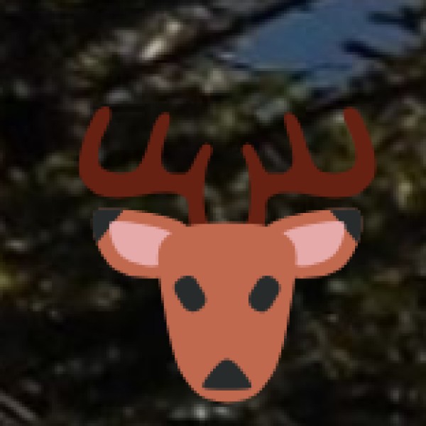 National Parks & Wildlife Sanctuaries