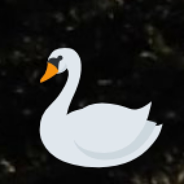 Wildlife and Rare Species