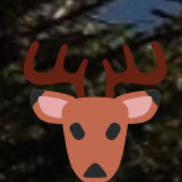 Wildlife to Spot: