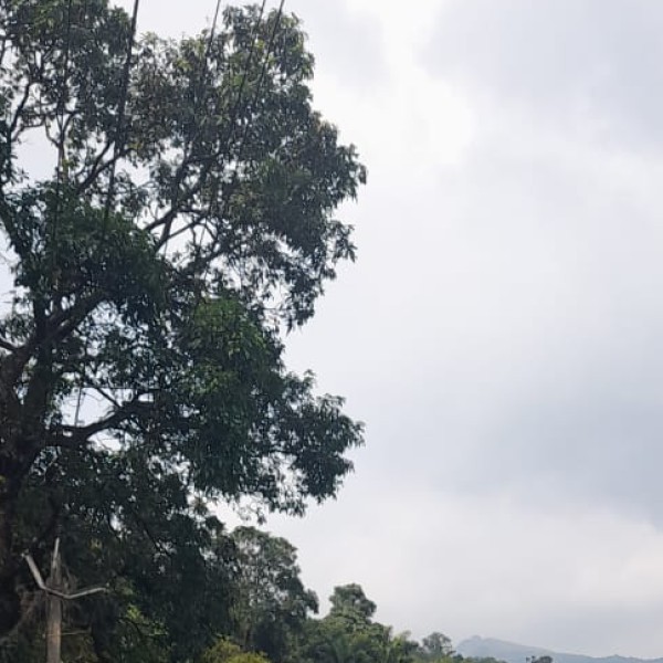 Wildlife Destinations in Arunachal Pradesh