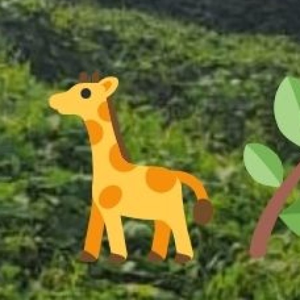 Wildlife & National Parks