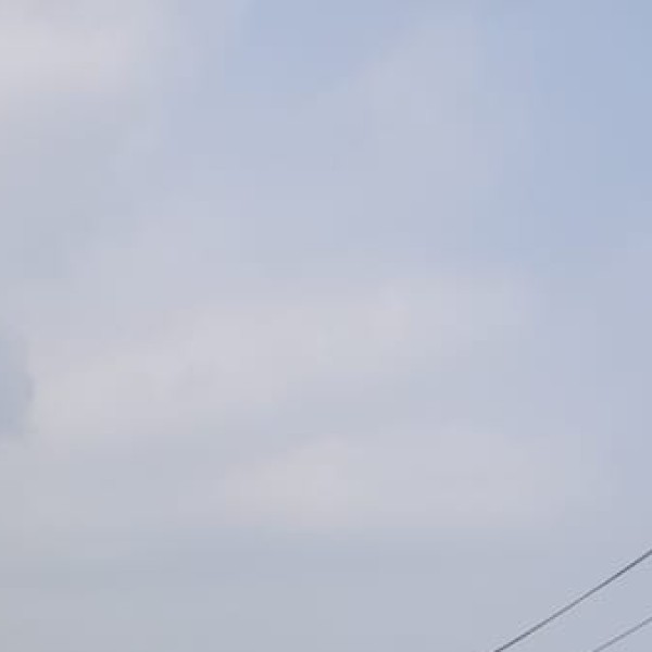 Renuka Wildlife Sanctuary (Sirmaur) – Home to the Asiatic Lion
