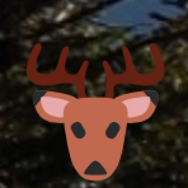 Wildlife & nature