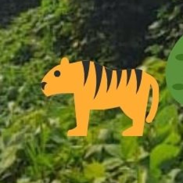 Why Visit Arunachal for Wildlife?
