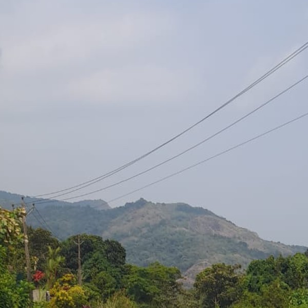 Wildlife & National Parks in Arunachal Pradesh
