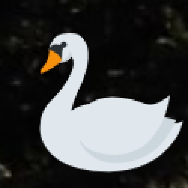 Wetlands & Bird Sanctuaries
