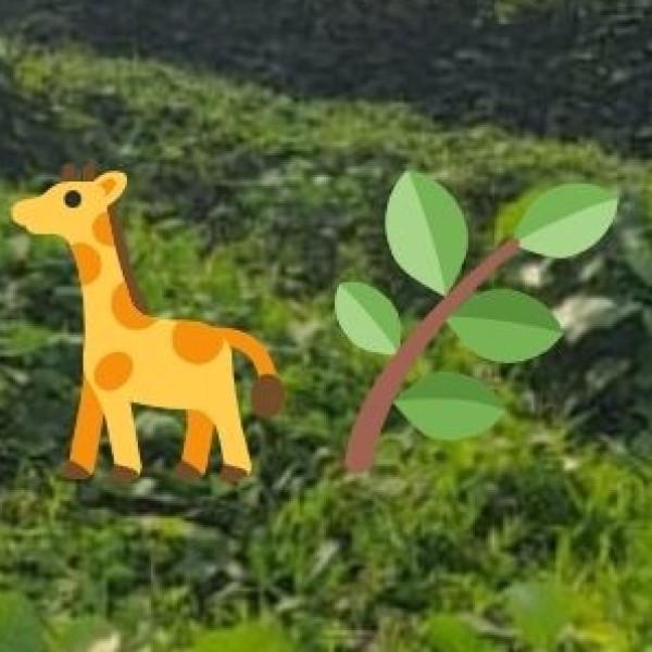 Top Wildlife Destinations in India
