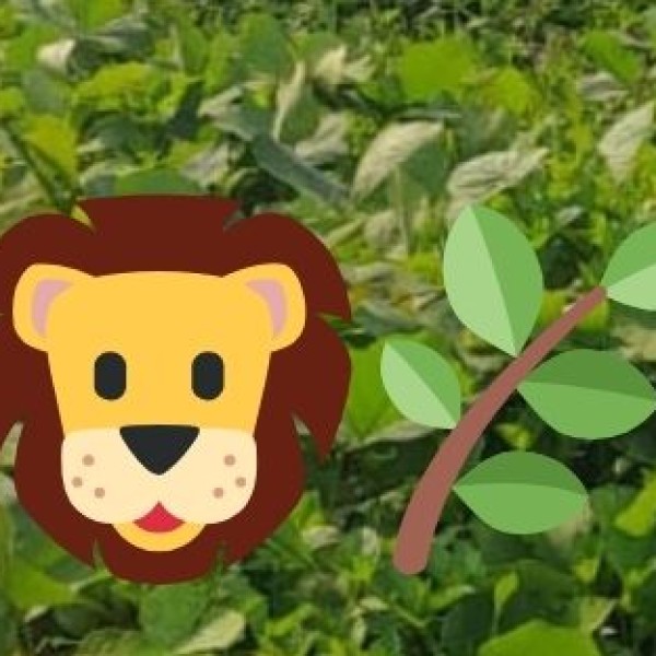 What is Eco-Tourism?